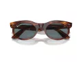 Ray-Ban Wayfarer Oval Ochelari de Soare RB 2242 954/3R 53