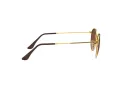 Ray-Ban Round Metal Ochelari de Soare RB 3447 9001/A5 47