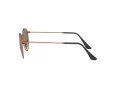 Ray-Ban Round Metal Ochelari de Soare RB 3447 9002A6 50