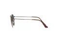 Ray-Ban Round Metal Ochelari de Soare RB 3447 9230/R5 47