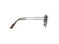 Ray-Ban Round Metal Ochelari de Soare RB 3447 9230/R5 47