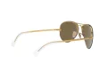 Ray-Ban Rb3449 Ochelari de Soare RB 3449 001/2Y