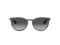 Ray-Ban Erika Metal Ochelari de Soare RB 3539 192/8G