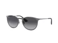 Ray-Ban Erika Metal Ochelari de Soare RB 3539 192/8G