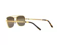 Ray-Ban New Caravan Ochelari de Soare RB 3636 9196/G5 55