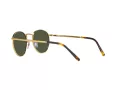 Ray-Ban New Round Ochelari de Soare RB 3637 919631 50