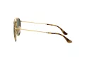 Ray-Ban Ochelari de Soare 3647N 001 51