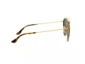 Ray-Ban Ochelari de Soare 3647N 001 51