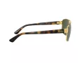Ray-Ban Ochelari de Soare RB 3663 001/31
