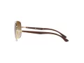 Ray-Ban Ochelari de Soare RB 3683 001/51 56