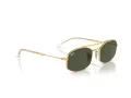 Ray-Ban Ochelari de Soare RB 0RB3719 001/31 54