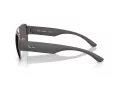 Ray-Ban Ochelari de Soare RB 3756 004/B1 59