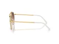 Ray-Ban Ochelari de Soare RB 0RB3765 001/4O 53