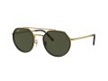 Ray-Ban Ochelari de Soare RB 0RB3765 919631