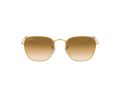 Ray-Ban Frank Ochelari de Soare RB 3857 9196/51