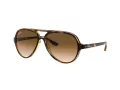 Ray-Ban Cats 5000 Ochelari de Soare RB 4125 710/51 59