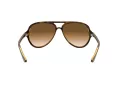 Ray-Ban Cats 5000 Ochelari de Soare RB 4125 710/51 59