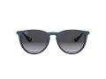 Ray-Ban Erika Ochelari de Soare RB 4171 6002/8G 54