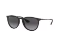 Ray-Ban Erika Ochelari de Soare RB 4171 622/8G 54