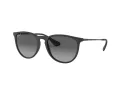 Ray-Ban Erika Ochelari de Soare RB 4171 622/T3 54