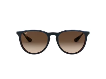 Ray-Ban Erika Ochelari de Soare RB 4171 6315/13