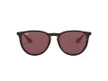 Ray-Ban Erika Ochelari de Soare RB 4171 6391/75 54