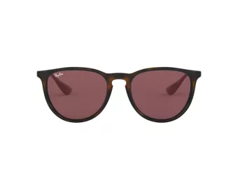 Ray-Ban Erika Ochelari de Soare RB 4171 6391/75 54