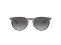 Ray-Ban Erika Ochelari de Soare RB 4171 6513/8G