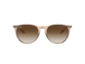 Ray-Ban Erika Ochelari de Soare 4171 651413 54