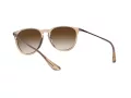 Ray-Ban Erika Ochelari de Soare 4171 651413 54