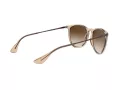 Ray-Ban Erika Ochelari de Soare 4171 651413 54