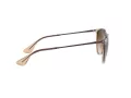 Ray-Ban Erika Ochelari de Soare 4171 651413 54