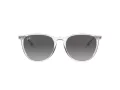 Ray-Ban Erika Ochelari de Soare RB 4171 651611 54