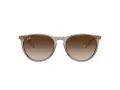 Ray-Ban Erika Ochelari de Soare RB 4171 674413 54