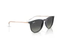 Ray-Ban Erika Ochelari de Soare RB 4171 681311 54