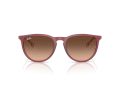 Ray-Ban Erika Ochelari de Soare RB 4171 6815A5