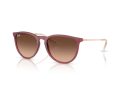 Ray-Ban Erika Ochelari de Soare RB 4171 6815A5