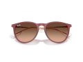 Ray-Ban Erika Ochelari de Soare RB 4171 6815A5