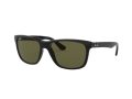 Ray-Ban Rb4181 Ochelari de Soare RB 4181 601/9A