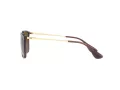 Ray-Ban Chris Ochelari de Soare RB 4187 6593T5 54