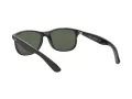 Ray-Ban Andy Ochelari de Soare RB 4202 606971 55