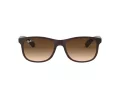 Ray-Ban Andy Ochelari de Soare RB 4202 607313 55
