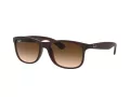 Ray-Ban Andy Ochelari de Soare RB 4202 607313 55
