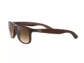 Ray-Ban Andy Ochelari de Soare RB 4202 607313 55
