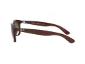 Ray-Ban Andy Ochelari de Soare RB 4202 607313 55