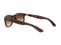 Ray-Ban Andy Ochelari de Soare RB 4202 607313 55