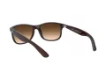 Ray-Ban Andy Ochelari de Soare RB 4202 607313 55