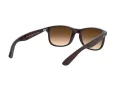Ray-Ban Andy Ochelari de Soare RB 4202 607313 55