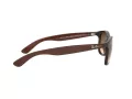 Ray-Ban Andy Ochelari de Soare RB 4202 607313 55