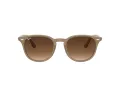 Ray-Ban Ochelari de Soare 4259 616613 51